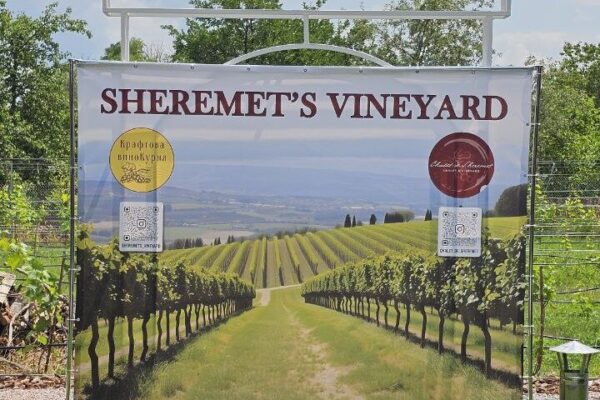 Дегустація в Sheremet’s Vineyard