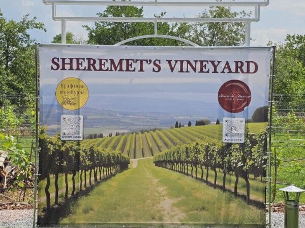 Дегустація в Sheremet’s Vineyard